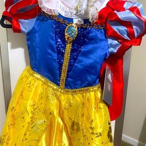 Snow White and the Seven Drwarfs Disney Princess Dress Costume
